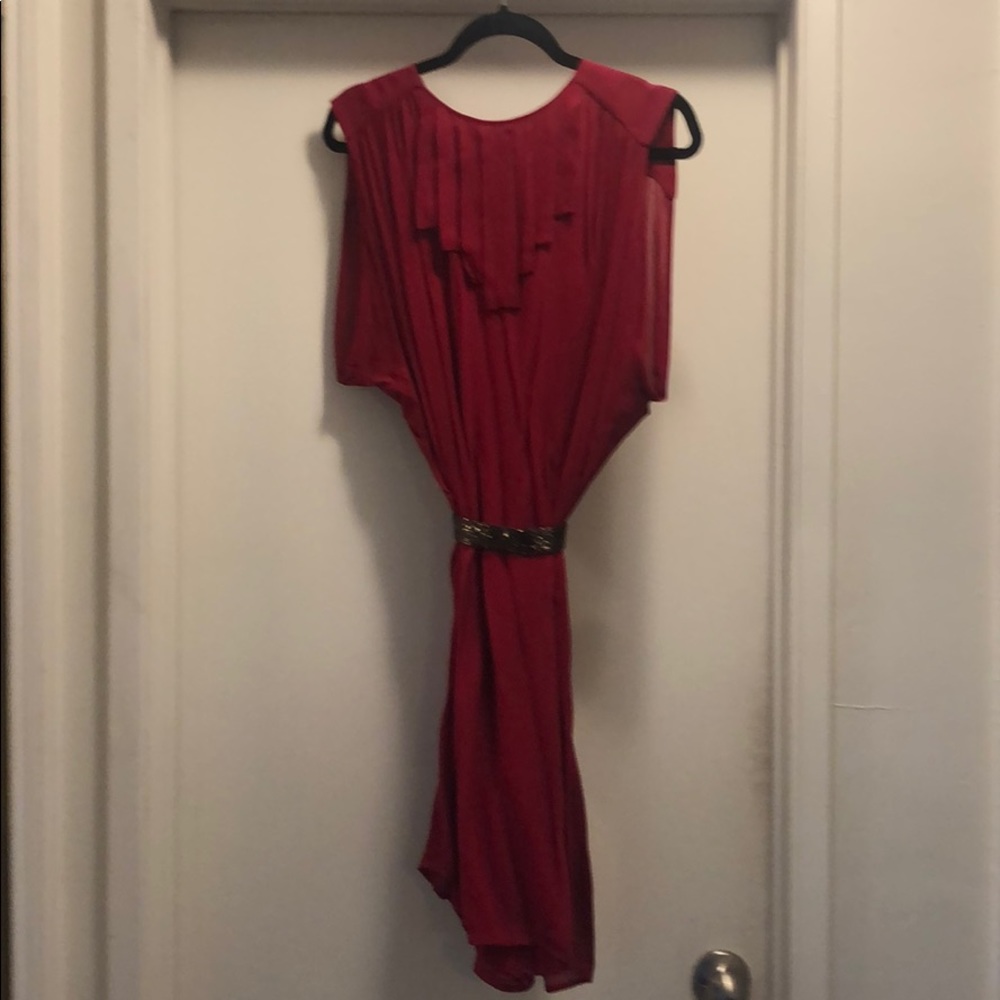Twelfth Street by Cynthia Vincent Dress